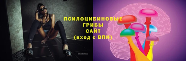 экстази Осташков
