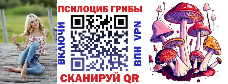 Псилоцибиновые грибы Magic Shrooms  mega ONION  Безенчук 